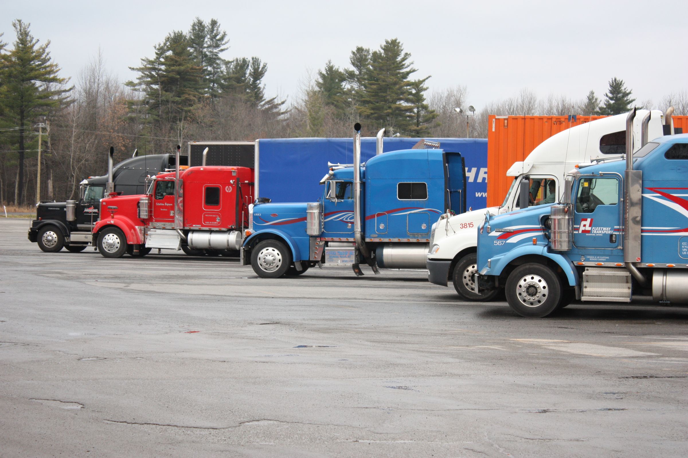 Photograph of a row of red, blue and white semi trucks parked at a truck stop in daylight.